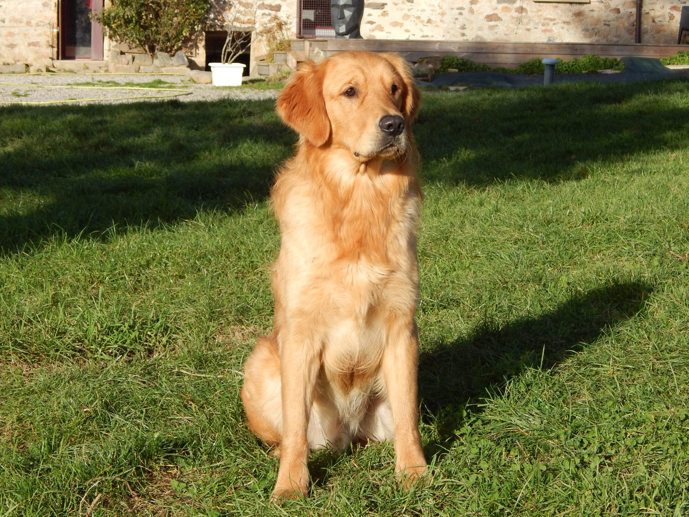 VADIM D'Aspe & D'Ossau