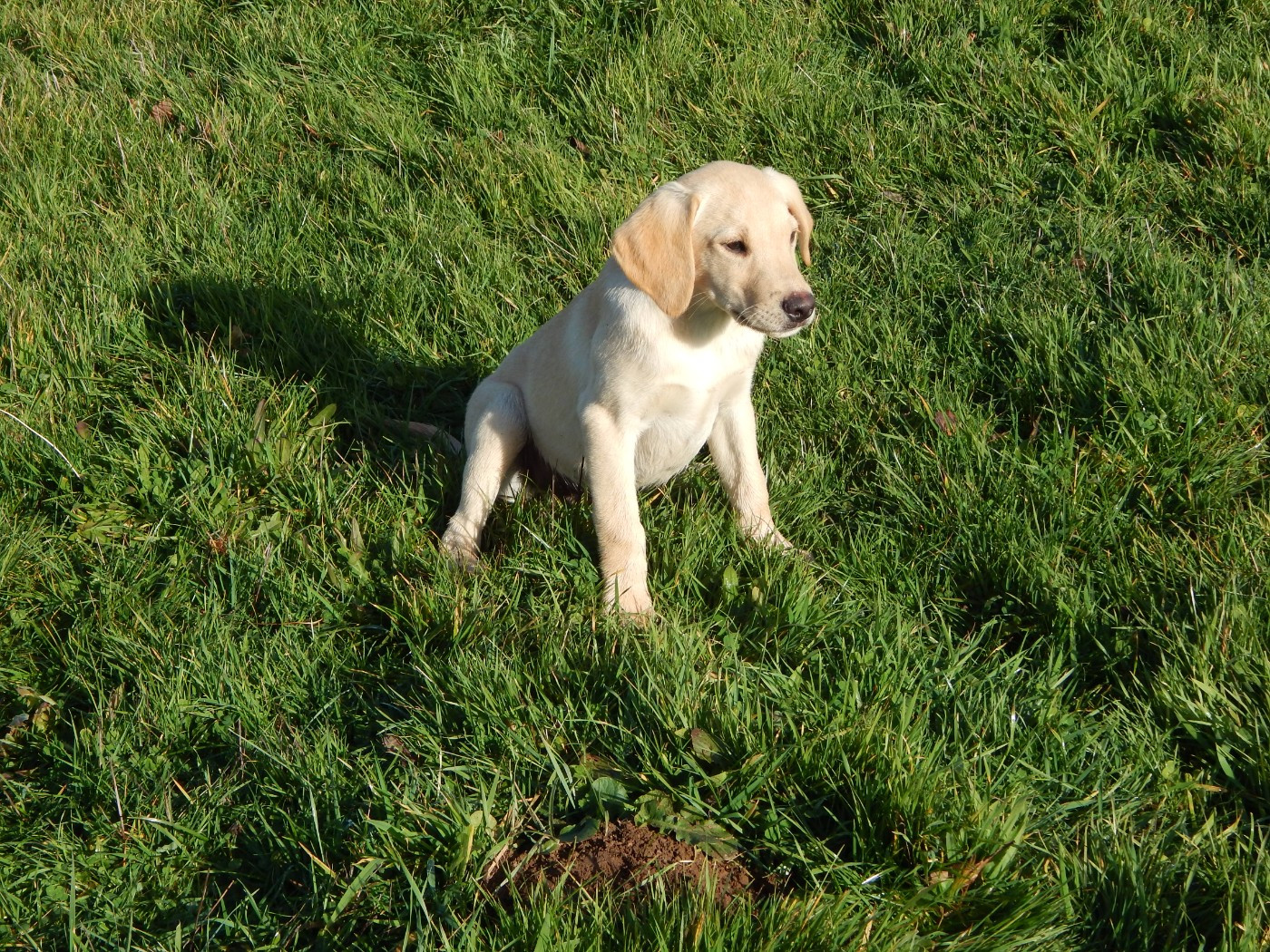 ARUDY D'ASPE & D'OSSAU